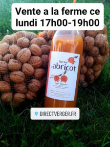 La Saison Des Noix En 8 Dates