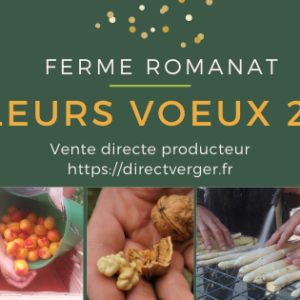 2020 en 12 newsletters