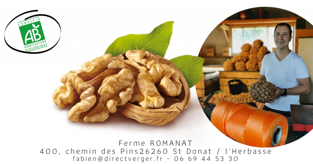 2020 en 12 newsletters