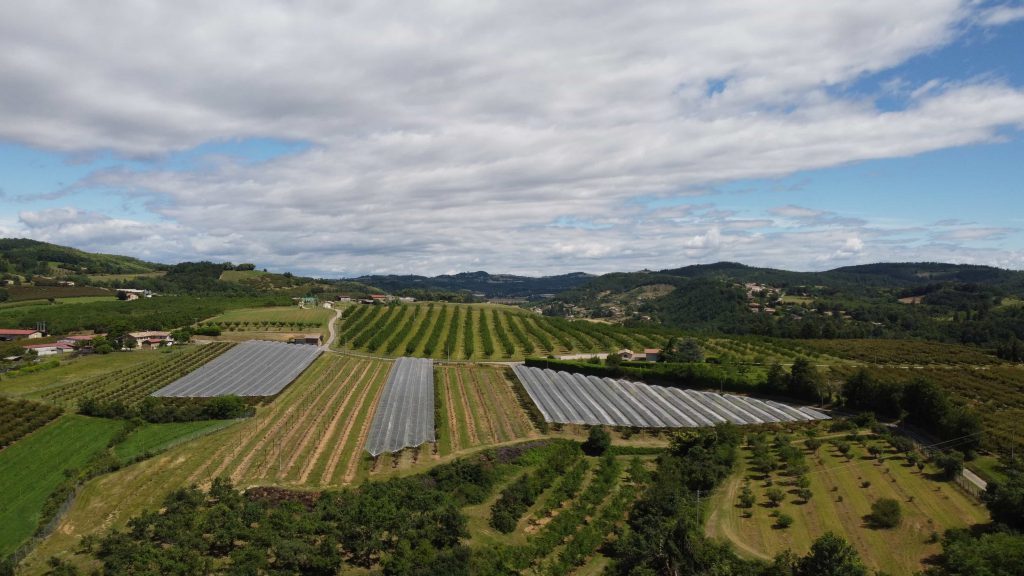 ferme romanat filets paragrêles