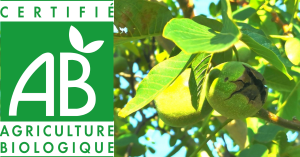 label bio 2020 en 12 newsletters