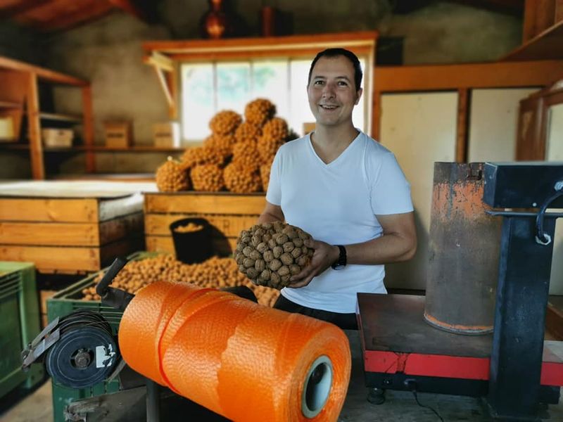 Fabien à la ferme de Saint-Donat-sur-l'Herbasse, un filet de noix bio devant l'ensacheuse