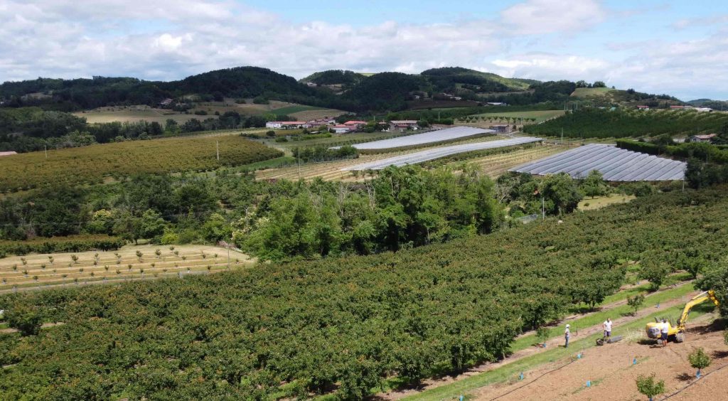 vente directe producteur Drôme Ferme ROMANAT actualités ferme Drôme