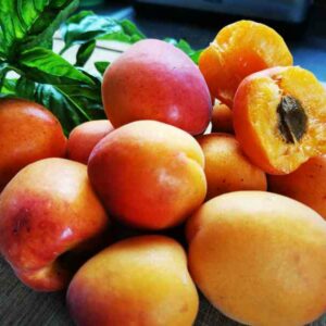 salade abricots feta Abricots vente directe