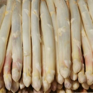 asperges vallée du Rhône - vrac vente en ligne vente en ligne produits frais Asperges Blanches livraison directe producteur