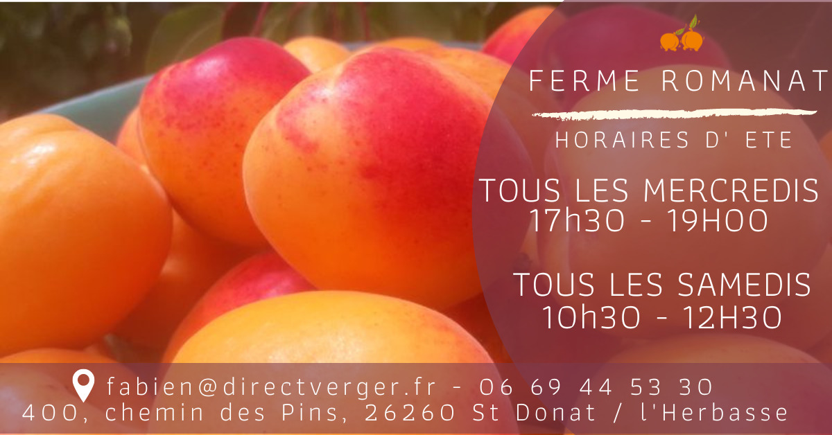 Recettes abricots sans cuisson