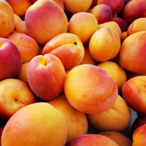 Abricots Lido vente en ligne Recettes abricots sans cuisson livraison producteur