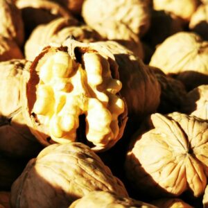 Noix bio vente directe Recettes noix