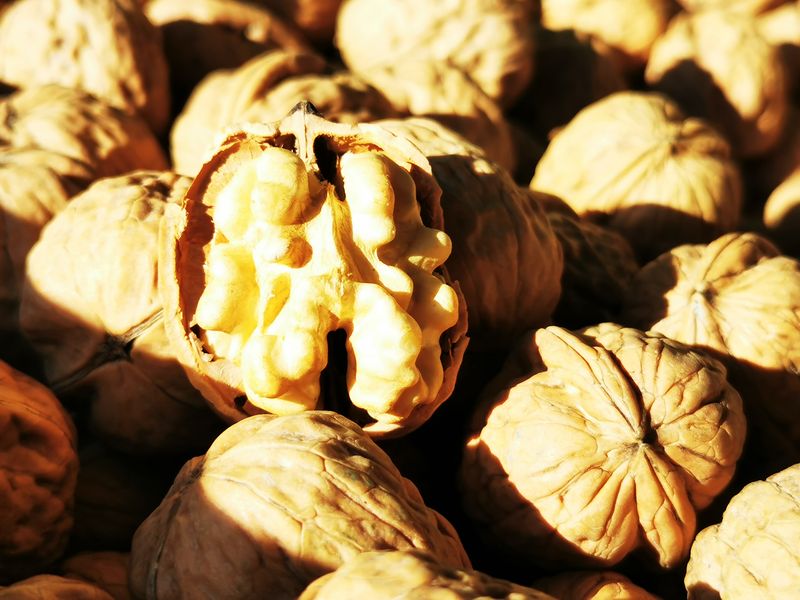 Noix bio vente directe Recettes noix