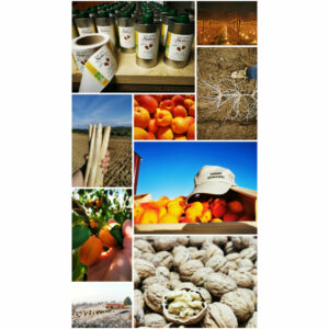 2022 en 12 newsletters