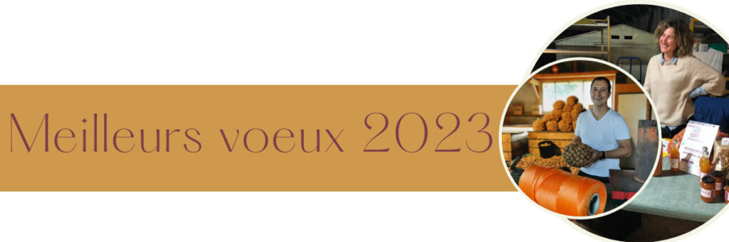 2022 en 12 newsletters