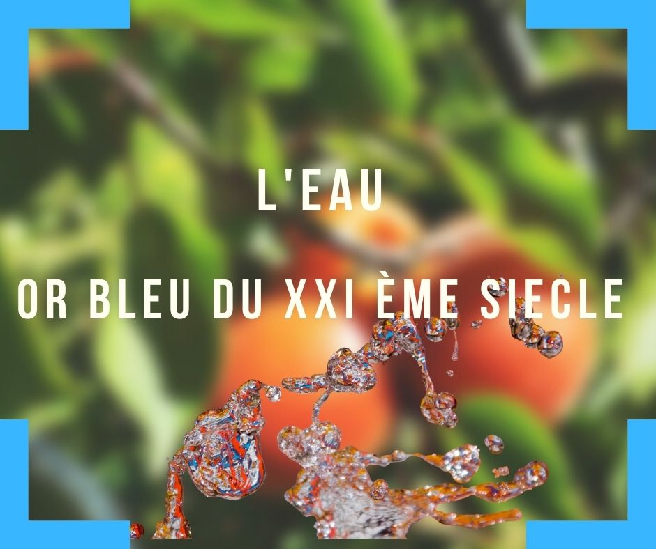 source eau gestion de l'eau agriculture durable 2023 en 12 newsletters