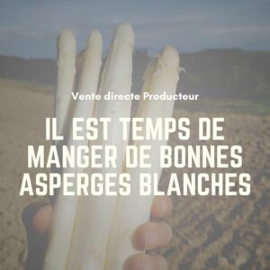 Asperges 2023 vente directe 2023 en 12 newsletters