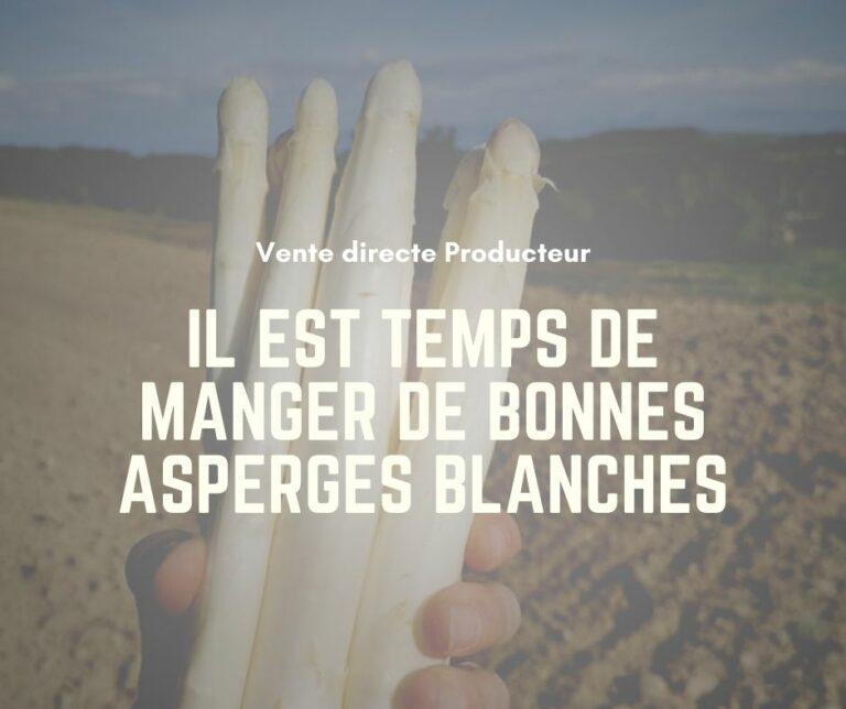 Asperges 2023 vente directe 2023 en 12 newsletters
