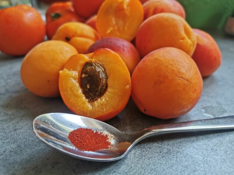 Gigot agneau abricot plancha abricots vallée du rhône