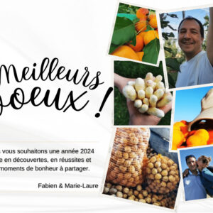 2023 en 12 newsletters