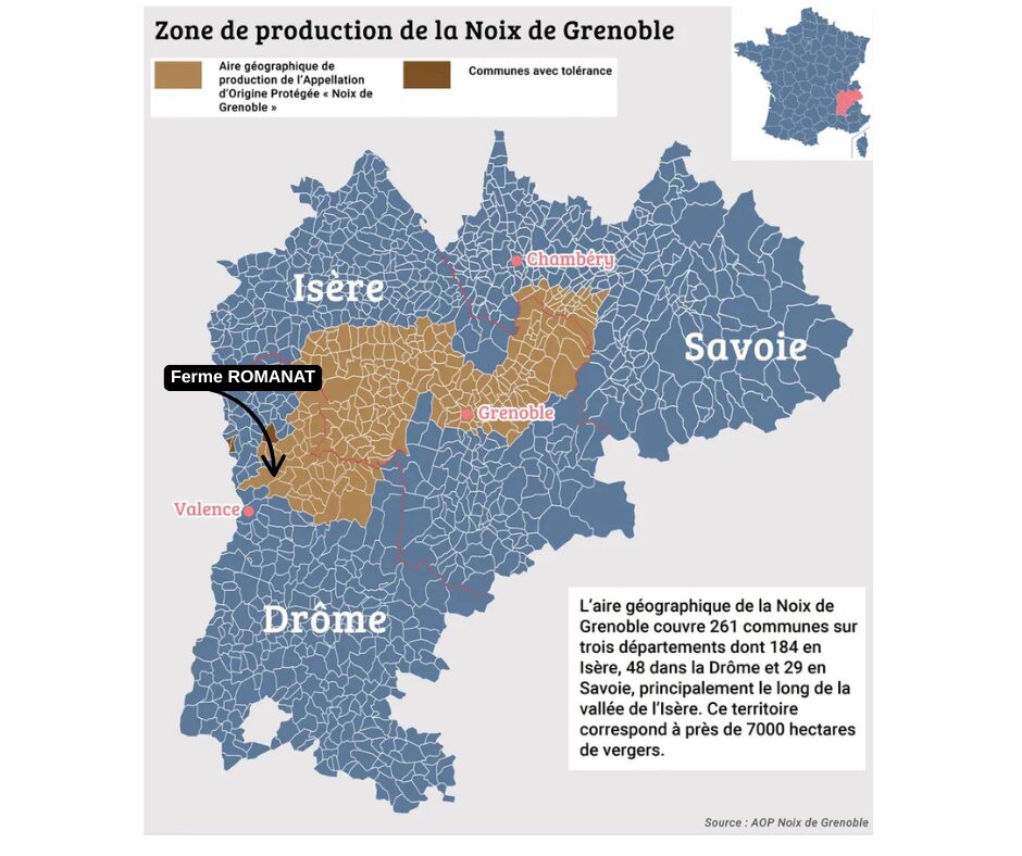 carte noix de grenoble AOP bio