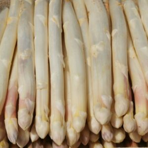 asperges bio récoltées à la ferme Romanat