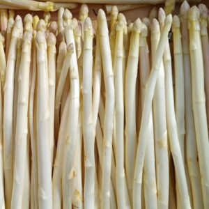 Asperges Blanches Fines