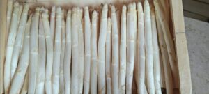 asperge moyenne