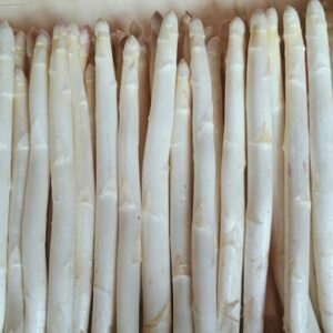 asperge moyenne